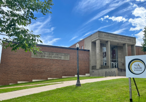 蒙特爱立森大学留学生录取标准2026 蒙特爱立森大学热门留学专业推荐2026