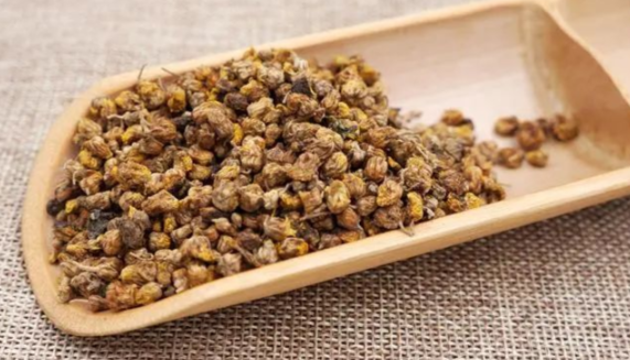 夏桑菊的功效作用有哪些 夏桑菊与什么搭配效果更好