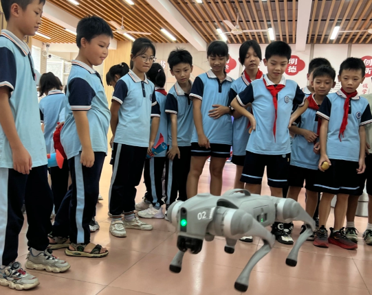 中国人口第一大省彻底定了 广东续19年拿下人口第一大省 中国人口第一大省彻底定了 广东续19年拿下人口第一大省