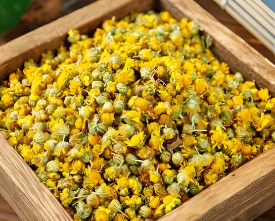 夏桑菊的功效作用有哪些 夏桑菊与什么搭配效果更好