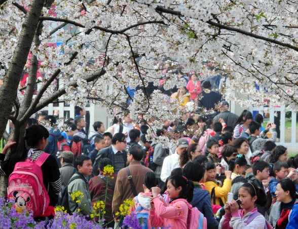 南京中小学生春假时间公布 江苏多地官宣中小学生春假安排
