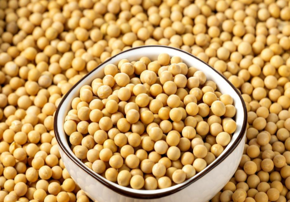 美国整粒大豆全球出口占比24.4% 美国大豆出口份额腰斩 美国整粒大豆全球出口占比24.4% 美国大豆出口份额腰斩