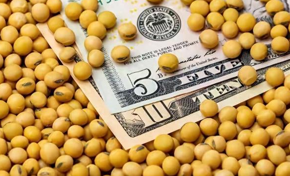 美国整粒大豆全球出口占比24.4% 美国大豆出口份额腰斩 美国整粒大豆全球出口占比24.4% 美国大豆出口份额腰斩