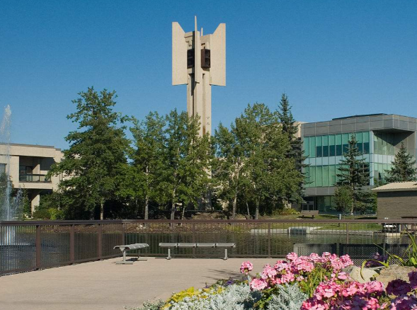 皇家山大学是什么级别的院校 皇家山大学留学生录取标准2026