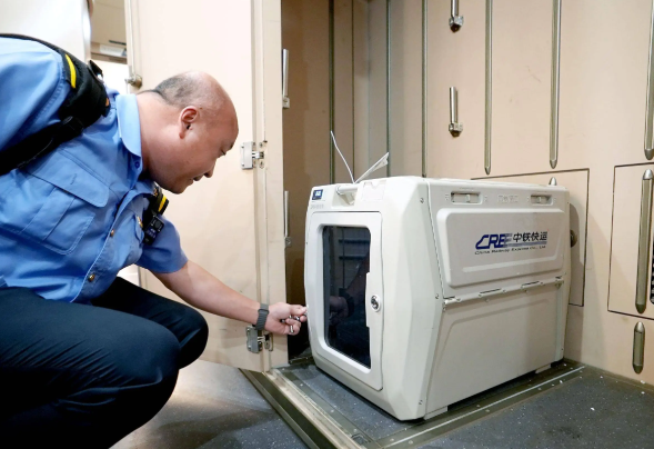 高铁宠物托运服务范围扩大 支持宠物托运业务的高铁站总数达到110个