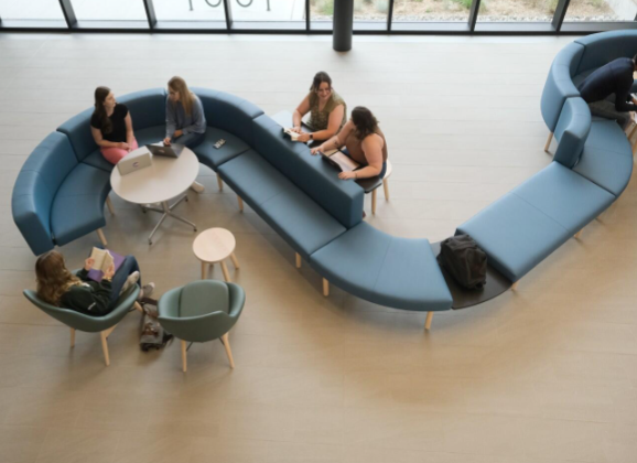 尼皮辛大学留学生录取标准2026 尼皮辛大学留学生专业报考推荐2026 尼皮辛大学留学生录取标准2026 尼皮辛大学留学生专业报考推荐2026