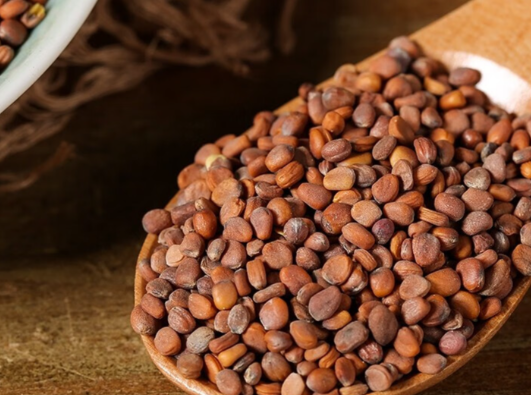 炒莱菔子的功效与作用有哪些 莱菔子是白萝卜籽吗