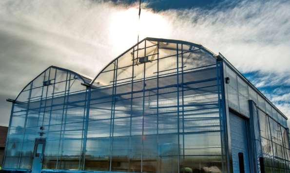 圣安娜大学本科学历国内认可吗 圣安娜大学2026年留学专业报考推荐 圣安娜大学本科学历国内认可吗 圣安娜大学2026年留学专业报考推荐