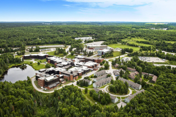 尼皮辛大学留学生录取标准2026 尼皮辛大学留学生专业报考推荐2026