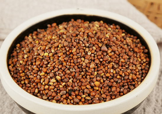 炒莱菔子的功效与作用有哪些 莱菔子是白萝卜籽吗