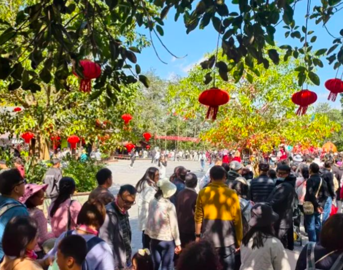 春节假期创多项“新高”！春节假期国内出游5.96亿人次