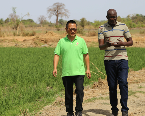 中国技术助力全球南方国家农业增产 许多南方国家加强与中国在农业技术等领域合作 中国技术助力全球南方国家农业增产 许多南方国家加强与中国在农业技术等领域合作