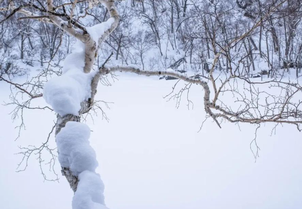 未来两天华北东北部分地区有降雪天气 5至7日西南地区东部等地有阴雨天气