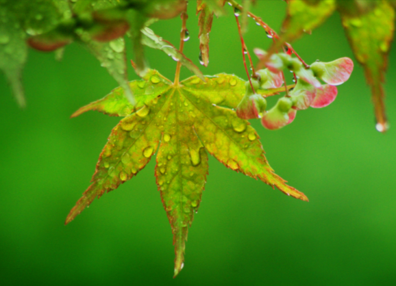 未来两天华北东北部分地区有降雪天气 5至7日西南地区东部等地有阴雨天气