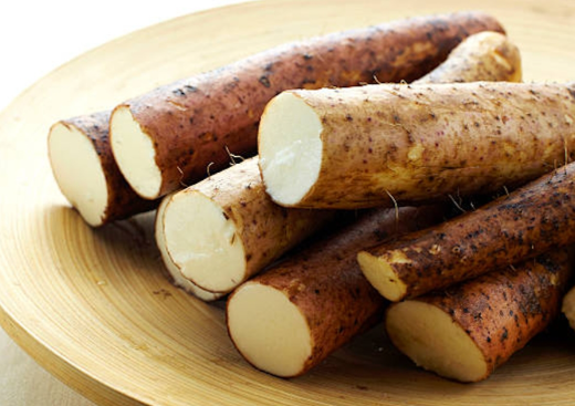 发芽的淮山能吃吗 老年人多吃淮山对身体有什么好处