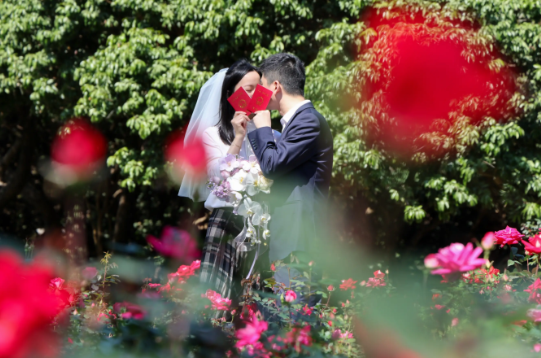 全国已设置525个“公园式”婚姻登记点 鼓励姻登记机关设置在有标志性有意义的场所