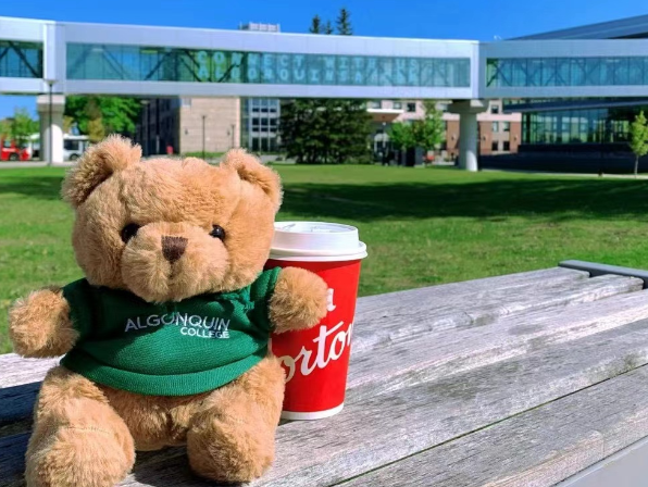 亚岗昆学院留学生录取标准2026 亚岗昆学院热门留学专业推荐2026