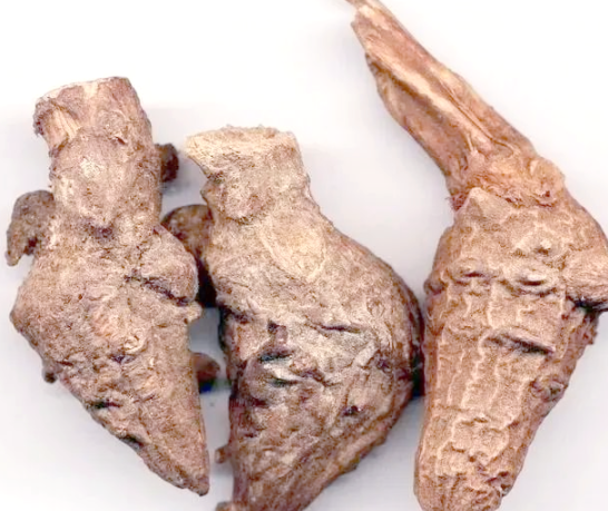 草乌的功效与作用有哪些 中药草乌如何安全正确的使用