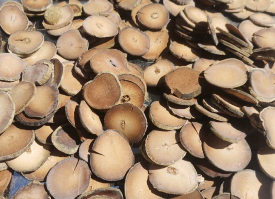 “化橘红”火了这个小果子有啥用 化橘红如何服用效果更好