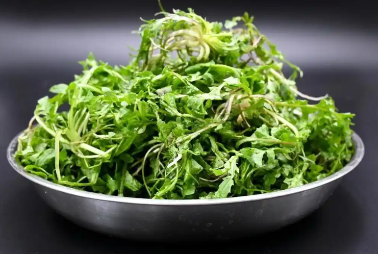 荠荠菜亲自采挖的可得认准了，2026这些都不是荠菜别挖错了!