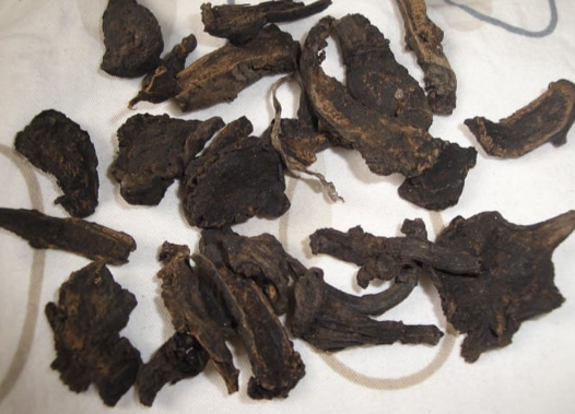 草乌的功效与作用有哪些 中药草乌如何安全正确的使用
