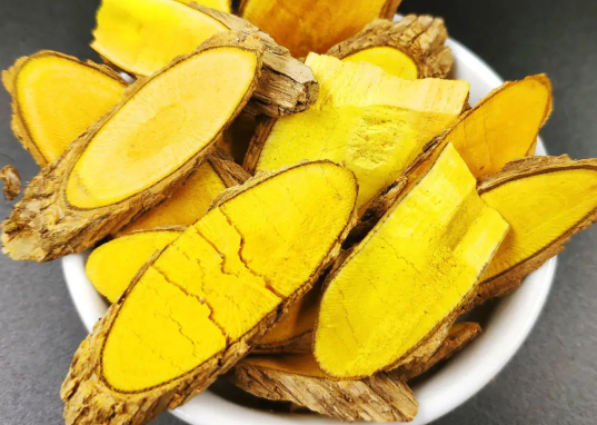 刺黄连的作用和功能主治有哪些 刺黄连与哪些药材搭配使用效果更好