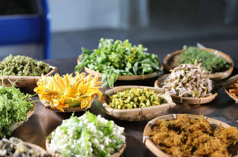 2026春季尝鲜别踩坑!食用野菜野花风险紧急预警