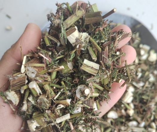 蒿草的功效与作用有哪些 蒿草与哪些药材搭配使用效果更好