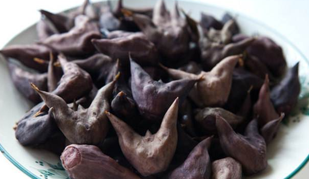 煮菱角放糖还是醋好吃?2026春日煮菱角美味指南