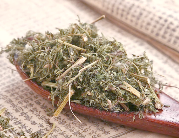 蒿草的功效与作用有哪些 蒿草与哪些药材搭配使用效果更好