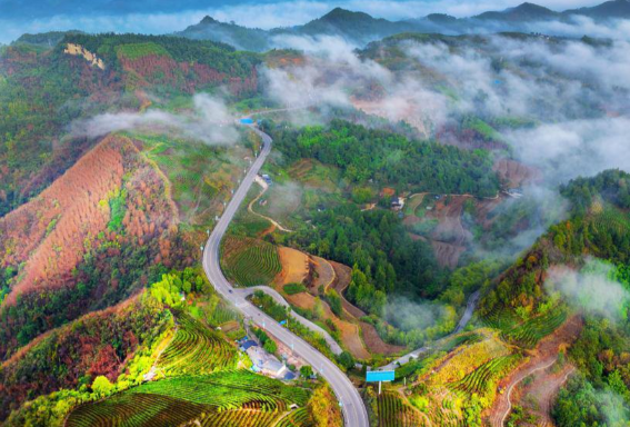 2025年我国林草产业总产值近11万亿元 2025年我国林草覆盖率超56%