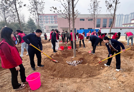 为什么中国人总在种树 今天是是我国第48个植树节