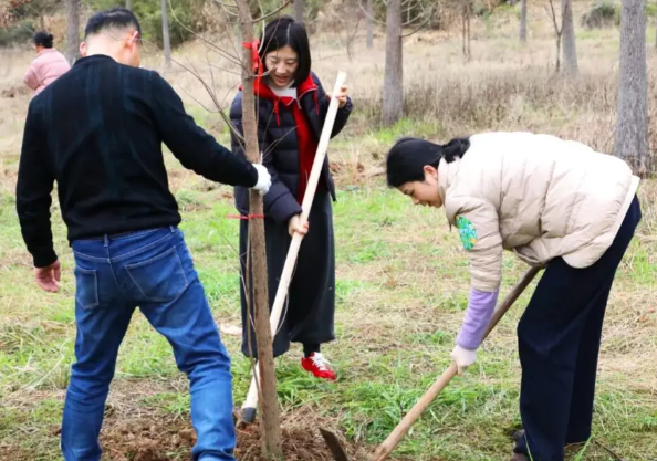 为什么中国人总在种树 今天是是我国第48个植树节