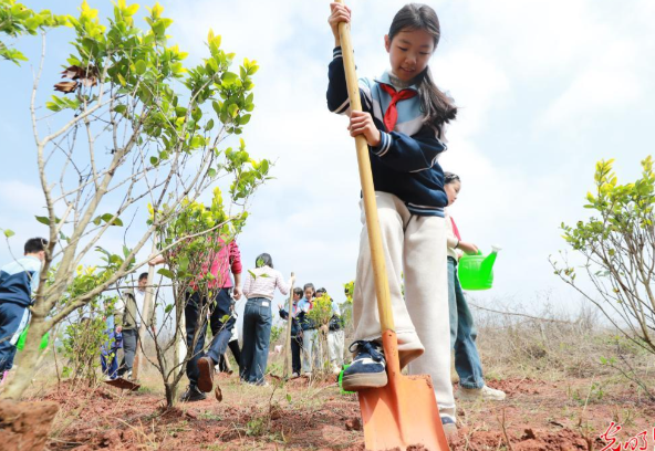为什么中国人总在种树 今天是是我国第48个植树节
