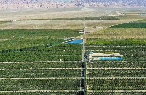 2025年我国林草产业总产值近11万亿元 2025年我国林草覆盖率超56%