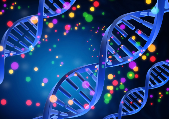 人的寿命到底由什么决定 人类内在寿命的遗传率调达到55%