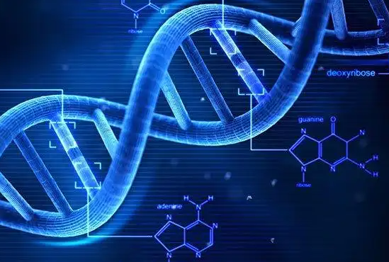 人的寿命到底由什么决定 人类内在寿命的遗传率调达到55%