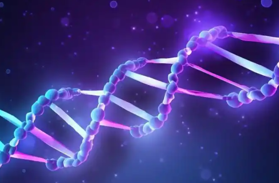 人的寿命到底由什么决定 人类内在寿命的遗传率调达到55%