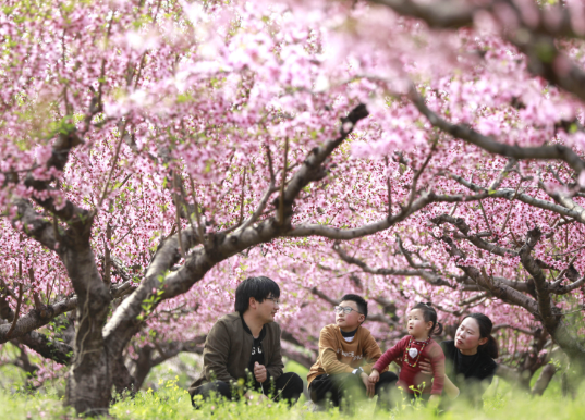 2026年清明不调休不补班 2026年清明假期天气情况