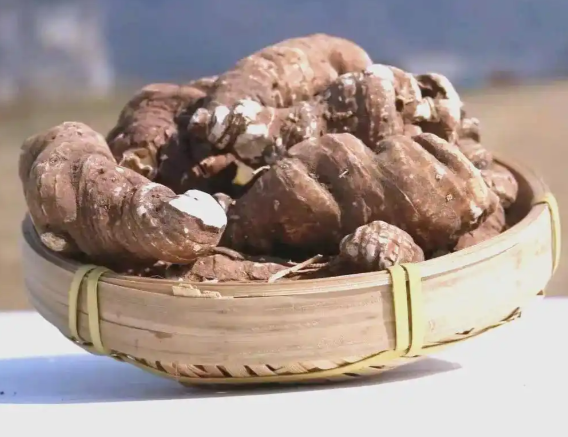 重楼与哪些药材搭配使用效果更好 儿童可以服用含有重楼的中药吗