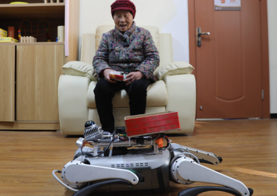 中国失能半失能老年人超过4000万人 发展养老机器人是当下迫切的需求