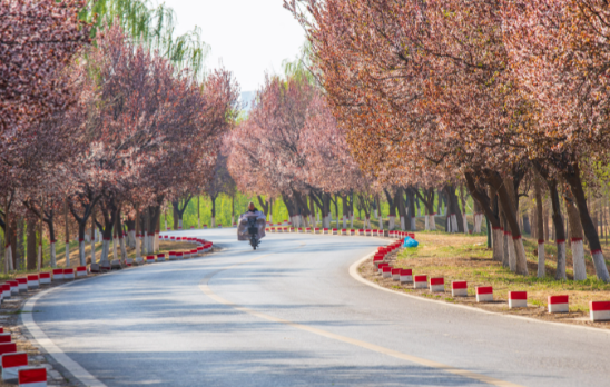 2026年清明不调休不补班 2026年清明假期天气情况