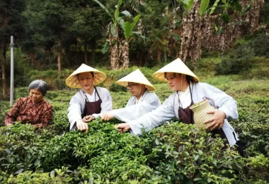 2026年清明不调休不补班 2026年清明假期天气情况