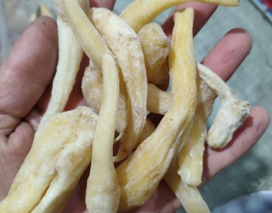 峨参的功效与作用有哪些 峨参怎么服用效果最好