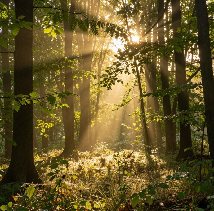 怕光流泪是甲亢性突眼吗？2026如何治疗甲亢性突眼？
