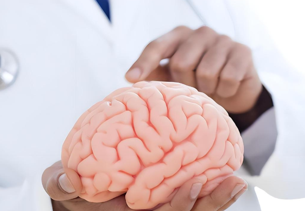 新研究发现大脑32岁才成年，为什么大脑的青春期会持续到32岁？