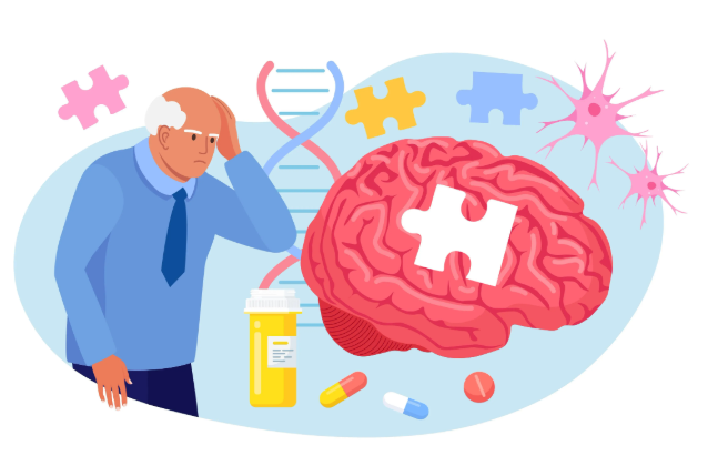 新研究发现大脑32岁才成年，为什么大脑的青春期会持续到32岁？