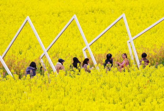 春日赏花游成为农文旅消费新热点 2026春天有哪些适合赏花的旅游目的地