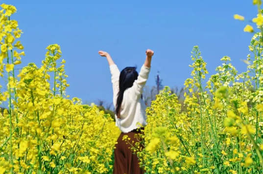 清明小长假火车票今日开售 多地春假与清明假期相连迎来小长假 清明小长假火车票今日开售 多地春假与清明假期相连迎来小长假