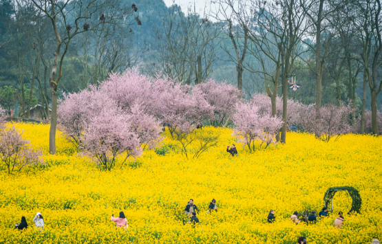 清明小长假火车票今日开售 多地春假与清明假期相连迎来小长假 清明小长假火车票今日开售 多地春假与清明假期相连迎来小长假